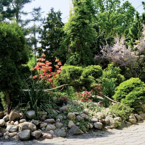 Ogrodowa alejka wije się pomiędzy rabatami i grupami drzew i krzewów. Idąc nią, odkrywamy coraz to nowe zakamarki ogrodu.