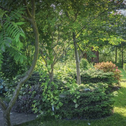 ogrody naturalne przydomowe