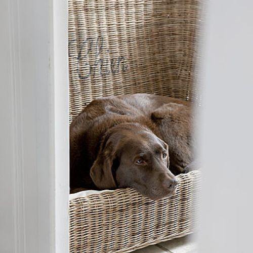 Panuje tu istna mieszanka stylów. A to kolonializm: plecione fotele. A to Orient: niskie stoliki, rzeźby Buddy, tace z