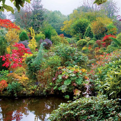Paulina nie wyobraża sobie jednak ogrodu bez owadów i ptaków. To dla nich założyła staw.
