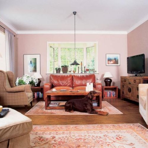 Pies właścicieli w salonie. U właścicieli Belbazaar