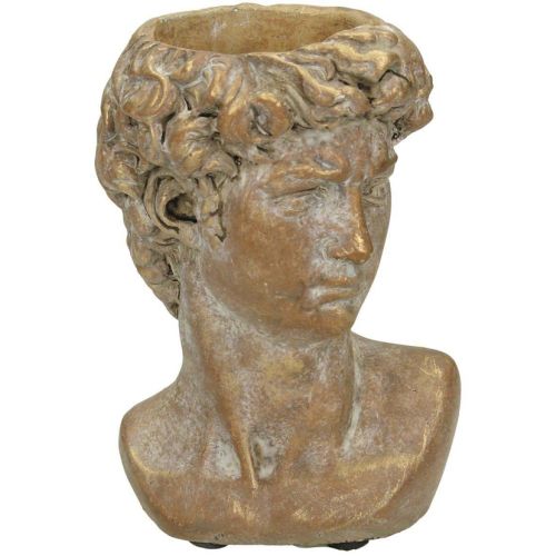 prezent na święta dla miłośniczki roślin