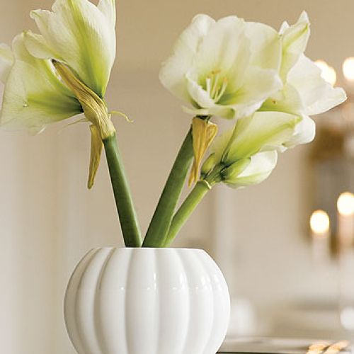 Porcelana Royal Copenhagen. Porcelana Royal Copenhagen