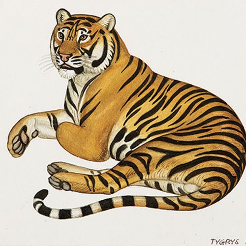 Projekt pocztówki z serii Koty , 1972 r.