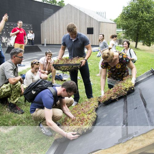 Projekt ZIELONE MIASTO: warsztaty MÓJ ZIELONY DACH.