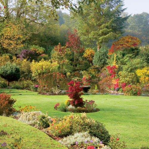 Przed zimowym snem ogród mieni się kolorami niczym paleta szalonego malarza.