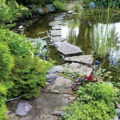 Przez staw można przejść suchą stopą po wkopanych w dno kamieniach. Tak samo jak w ogrodach Japonii.