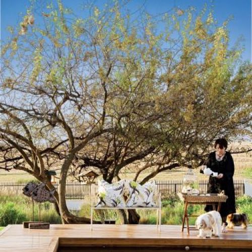 Przy basenie stoi ławka i stolik. Rezydencja nad stawem