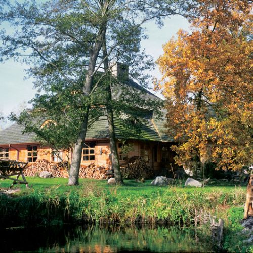 Przy domu suszy się drewno do kominka.