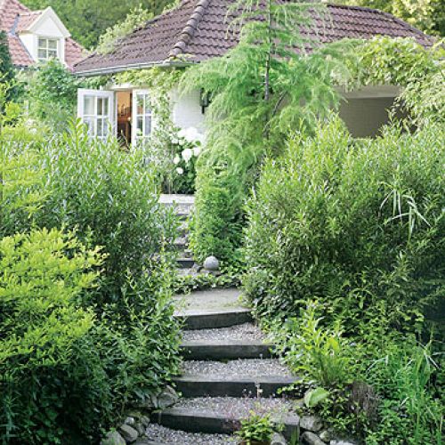 Przy schodach prowadzących do stawiku rośnie młody modrzew i rózne odmiany wierzby