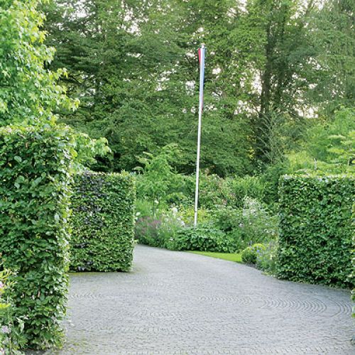 Przycięte żywopłoty. Ogród w lesie