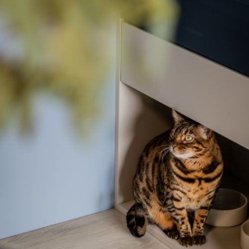 mieszkanie w beżach i błękicie