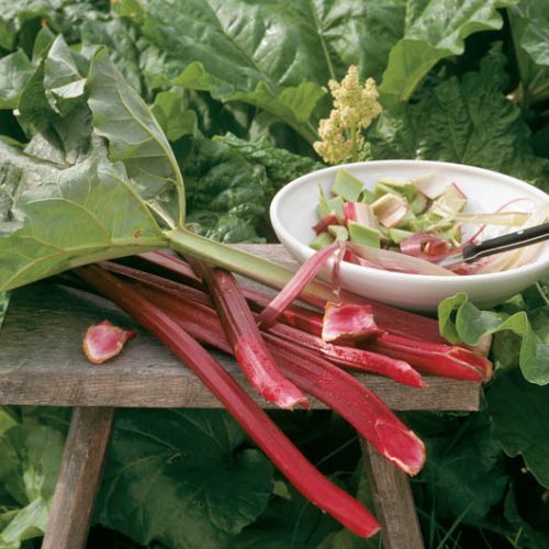 Rabarbarowa uczta. Rabarbarowa uczta