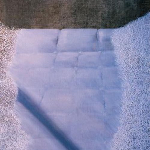 Rafał Strent Trawa , 1988 r. Profesor w drodze