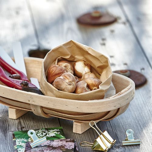 Relaks pod gołym niebem z Malabelle