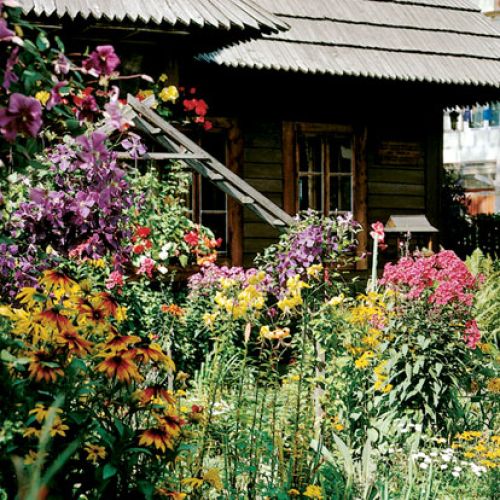 Rudbekie, liliowce, klematisy, begonie... dom tonie pośrod rożnokolorowych kwiatów.
