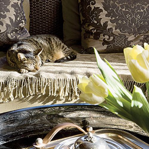 Salon jest idealnym miejscem do odpoczynku.