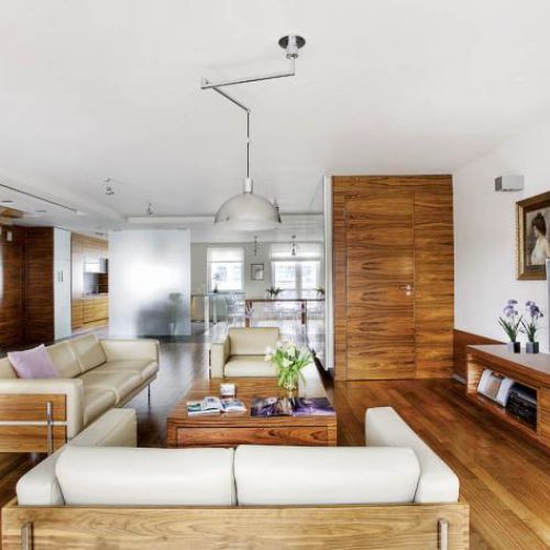 Salon połączony z kuchnią. Apartament palisandrowy
