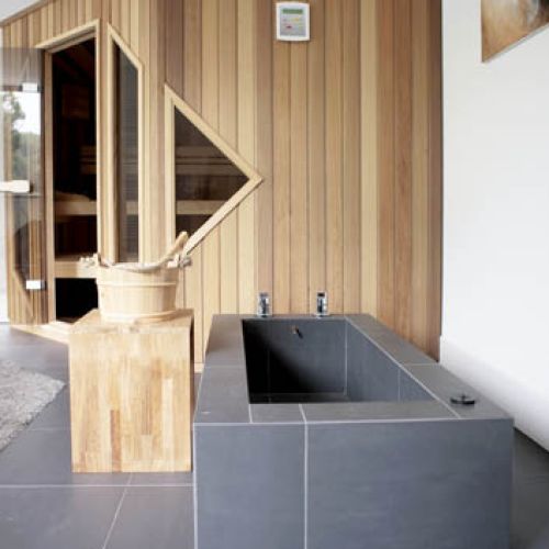 Sauna to było marzenie Fransa, który studiował medycynę w Helsinkach i uzależnił się od tego fińskiego wynalazku