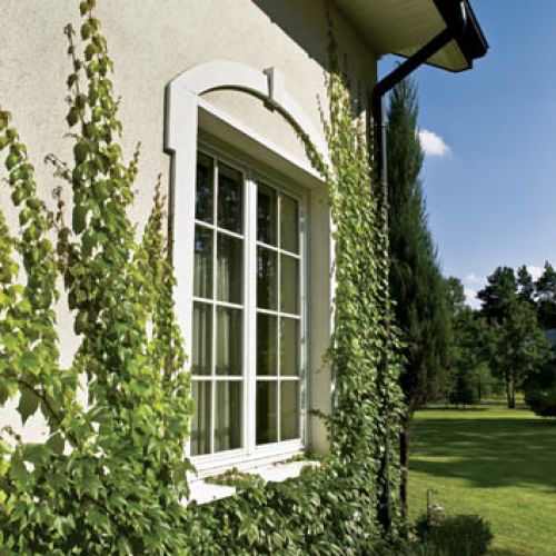 Ściana porośnięta bluszczem. Podmiejski dom zmienia życie