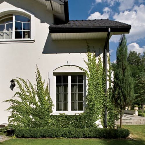 Ściana porośnięta bluszczem. Podmiejski dom zmienia życie