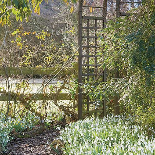 Ścieżki wyłożone sa korą albo wysypane żwirem.