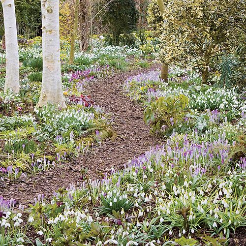 Ścieżki wyłożone sa korą albo wysypane żwirem.