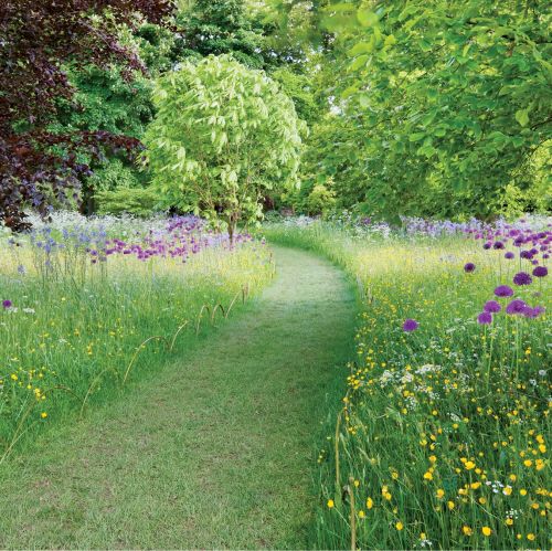 Ścieżki w ogrodzie – inspiracje, pomysły i zdjęcia