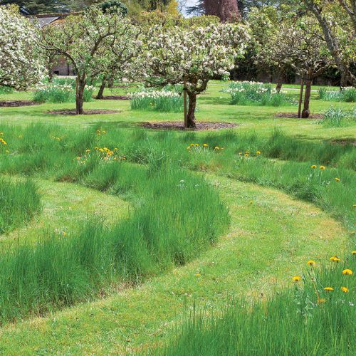 Ścieżki w ogrodzie – inspiracje, pomysły i zdjęcia