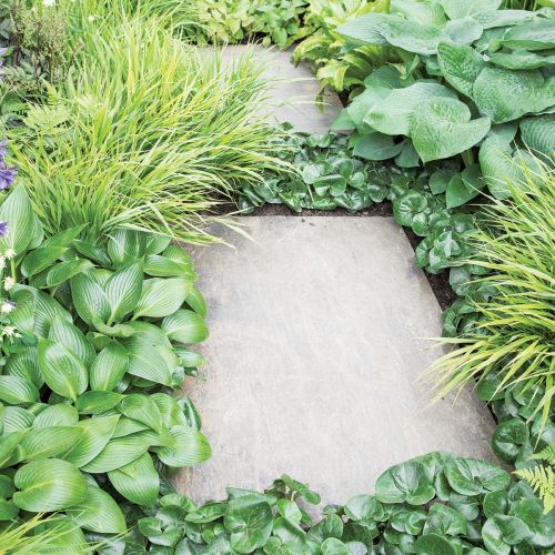 Ścieżki w ogrodzie – inspiracje, pomysły i zdjęcia