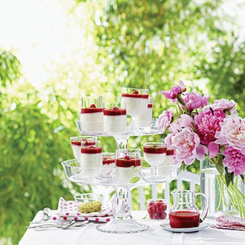 Sorbet malinowy. Letnie przyjęcie