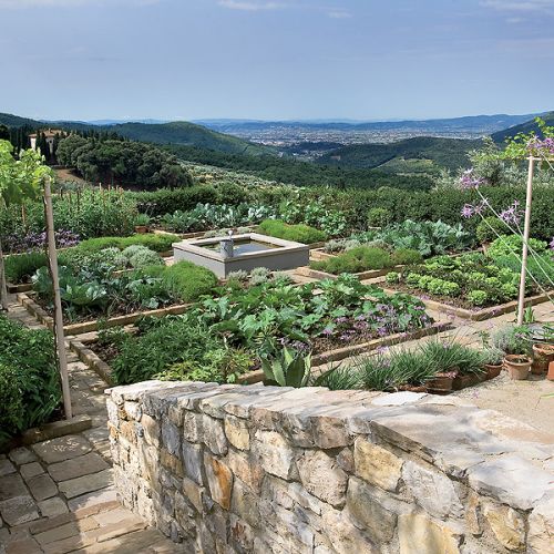 Stary oliwny gaj, a z boku winnica. Piękny dom w stylu country chic