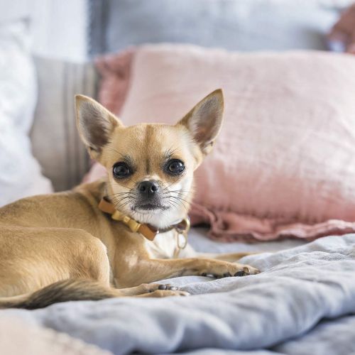 Trochę stylu francuskiego, trochę vintage, całość podkreślona złotymi akcentami i bardzo kobieca. Kasia zajmuje się