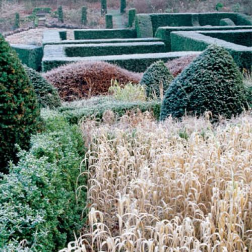 Szumiące łany ozdobnych traw kojarzą się z otwartą przestrzenią i morskimi falami.