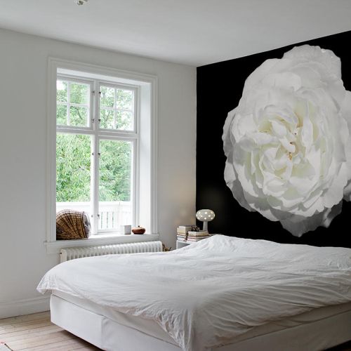 Tapeta Boule de Neige, Mr Perswall, Kolekcja What s Your Story