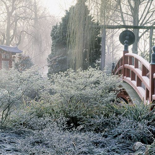 Zima w japońskim ogrodzie