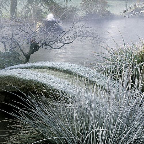 Zima w japońskim ogrodzie