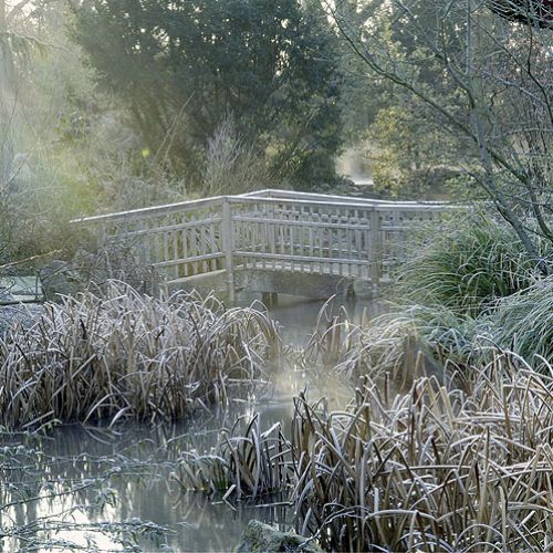 Zima w japońskim ogrodzie
