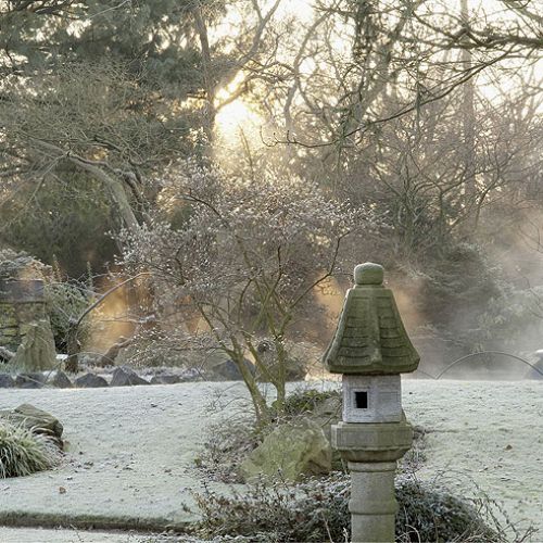 Zima w japońskim ogrodzie