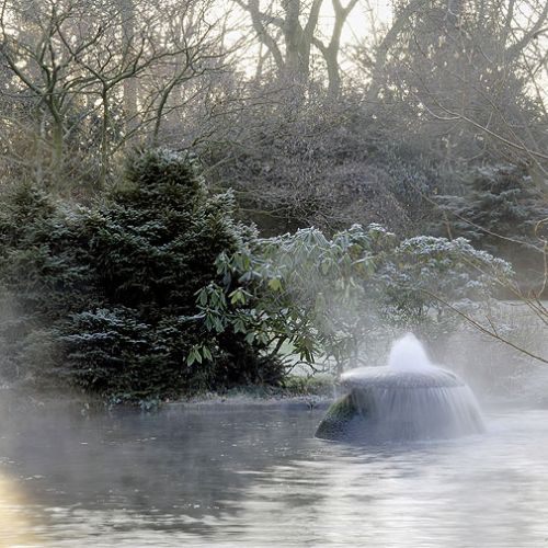 Zima w japońskim ogrodzie