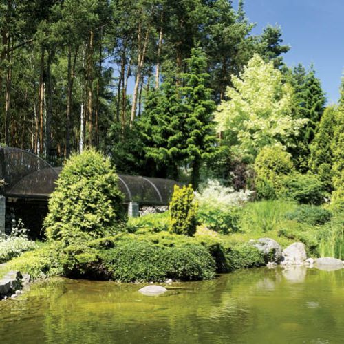 Ten ogród przyciaga jak magnes. Spotkamy tu żaby, leszcze, płocie, liny, jazie i klenie.