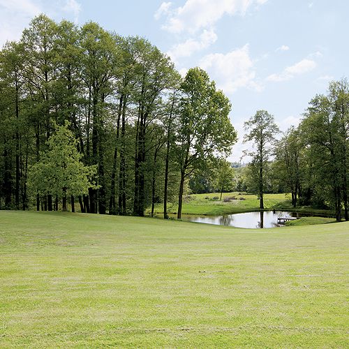 Trawnik jak na miłośników golfa przystało.