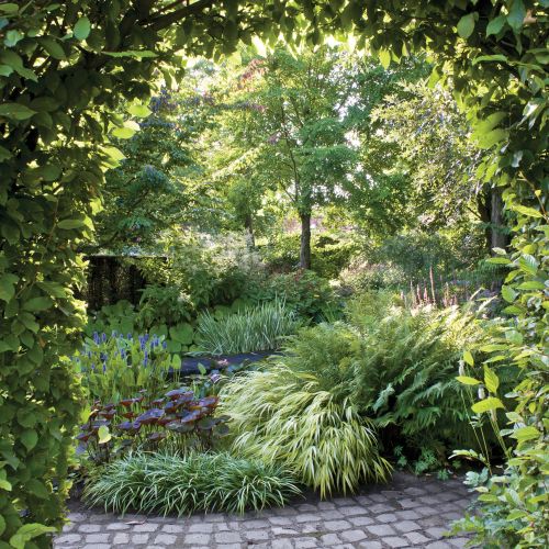 Ogród w Holandii: trochę w cieniu, trochę w słońcu