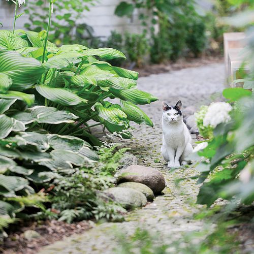 Tylko 1200 metrów kwadratowych i aż tyle. W wielkich miastach rzadko trafiają się podobne ogrody. Ten powstał w latach,