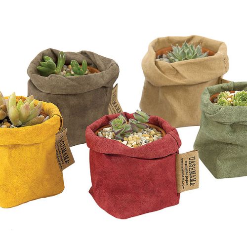 UASHMAMA- włoska robota