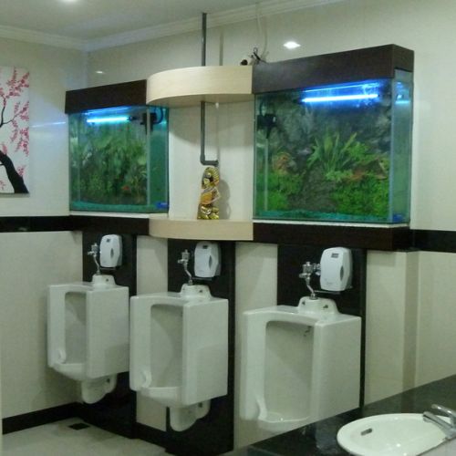 W 80 toalet dookoła świata. W 80 toalet dookoła świata