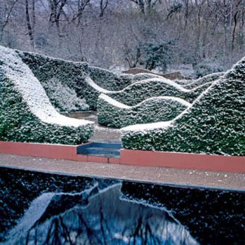 W głębi pojawiają się geometryczne formy wycięte w żywopłocie. Lekki mróz sprawia, że stają się bardziej wyraziste. Gdy tylko