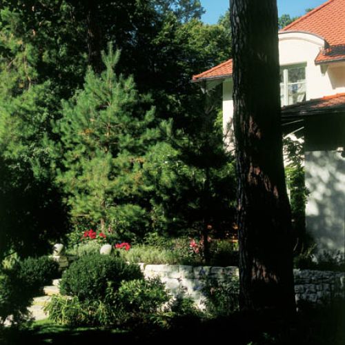 W lesie zachowało się osiem pomników przyrody. Właściciele dbają, by trzymały się jak najlepiej. Trawnik