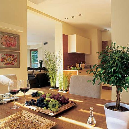 W mieszkaniu nie mogło zabraknąć roślin w donicach.