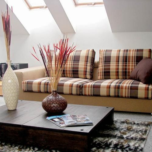 W szkocką kratę – Edimburgo. IKER. Kanapa oswojona